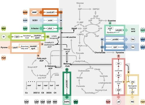 中國團隊成功開發高性能細胞通訊系統，攻克多細胞系統工程難題